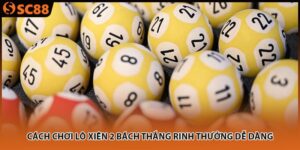 cach choi lo xien 2 bach thang rinh thuong de dang 300x150 1