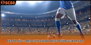 keo tai xiu 3 meo cuoc chinh phuc thuong gia tri cao 300x150 1